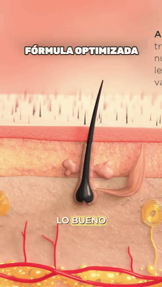 💥ESTIMULANTE PARA LA BARBA APOLO CON HASTA UN 50%OFF💥